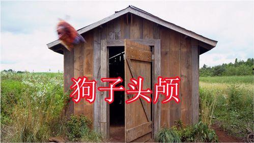 免费吃瓜群小木屋,揭秘网络社交新趋势  第3张